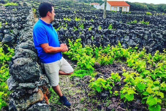 Terceira Island full day tour - FAQ About the Terceira Island Full-Day Tour