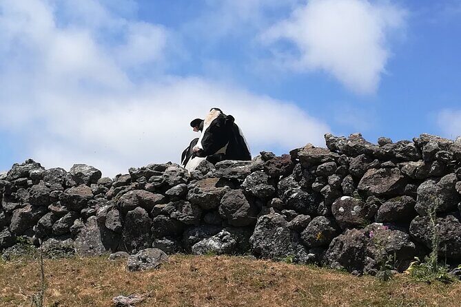 Terceira Island Transfers | Azores - Practical Considerations