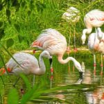 Terra Natura Benidorm Entrance Ticket - What Do Visitors Say?