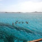 The Authentic Rhenia-Delos Cruise - Authentic Reviews: What Travelers Are Saying