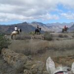 The Best Horse Riding Experience in Gran Canaria (1 hour) - Why You Might Love This Horseback Ride