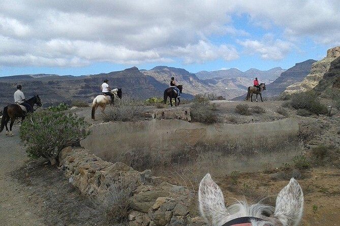 The Best Horse Riding Experience in Gran Canaria (1 hour) - Why You Might Love This Horseback Ride