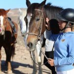 The Best Horse Riding Experience in Gran Canaria (2 hours) - Who Is This Tour Perfect For?