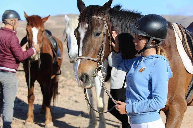 The Best Horse Riding Experience in Gran Canaria (2 hours) - Who Is This Tour Perfect For?