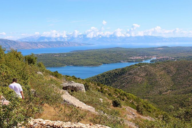 The Best of Hvar Small Group with Wine Tasting and Local meal - Who Will Love This Tour?