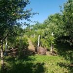 The Biggest Salt Mine in Europe and the Carpathian Authentic Villages - Who Will Love This Tour?