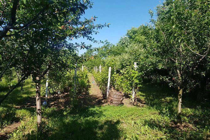 The Biggest Salt Mine in Europe and the Carpathian Authentic Villages - Who Will Love This Tour?