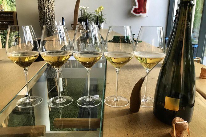 The Connoisseurs from Reims (Private Half day Tour) - The Practicalities: What to Expect