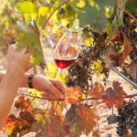 The Essence of Priorat | Private Wine Tour from Barcelona - Final Thoughts