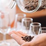 The GIN EVA TASTING at Casa Eva - Authentic Feedback from Participants