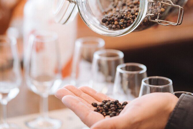 The GIN EVA TASTING at Casa Eva - Authentic Feedback from Participants