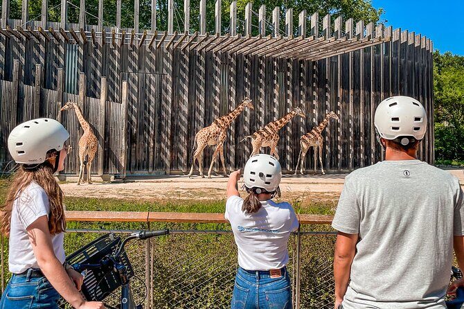 The Grand Bike Tour of Lyon - 3h - What to Expect During the Tour