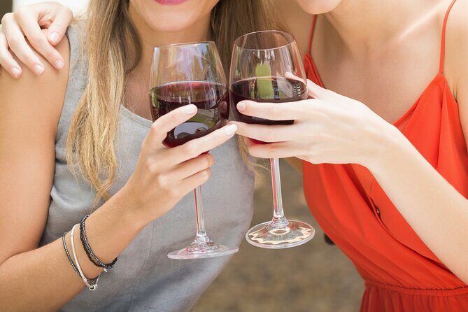 The Grape Escape: Troodos Mountains thru Wine Small Group Tour 7hrs - The Wine Tasting at Ktima Christoudia Winery