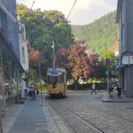 The influence of Bergen in Norway's development, city tour - The Tour Itself: What to Expect