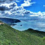 The Lisbon Kayak Day Tour (transport & picnic at beach) - Who Is This Tour Best For?