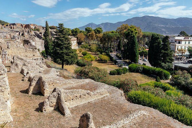 The Ultimate Ruins of Pompeii and Herculaneum Private Day Trip - Transportation and Timing