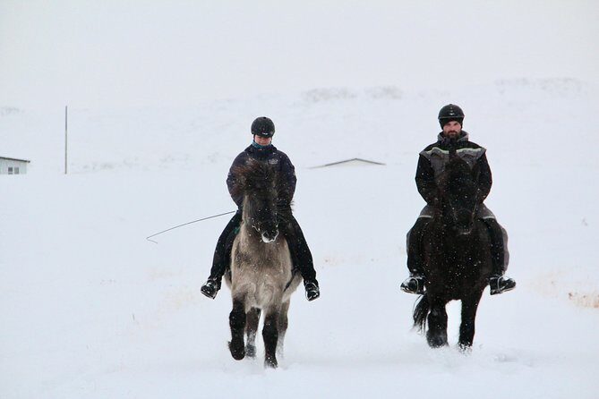 The Viking Horse Riding Experience in North Iceland - Who Is This Tour Best For?