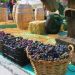 The wine route by bike - The Experience: What We Loved