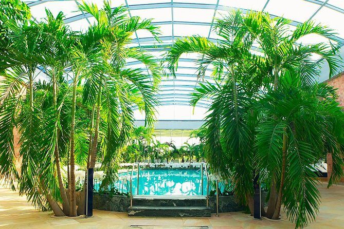 Therme Spa Ultimate Experience | Transfer - Full Access All Areas - Detailed Breakdown of the Experience