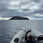 Third Island: Ilhéu das Cabras Boat Tour + Snorkeling - The Challenges and Considerations