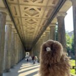 Third Reich Berlin & World War II Private Walking Tour - Practicalities and What to Expect