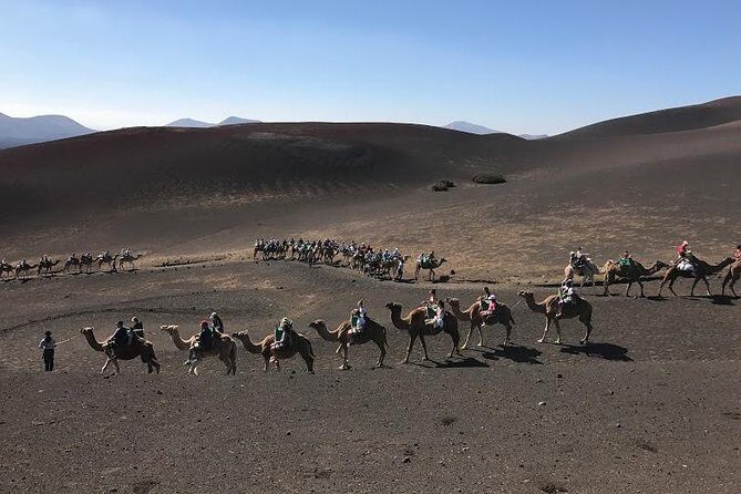 Timanfaya & Lanzarote Volcano Experience - Who Will Love This Experience?
