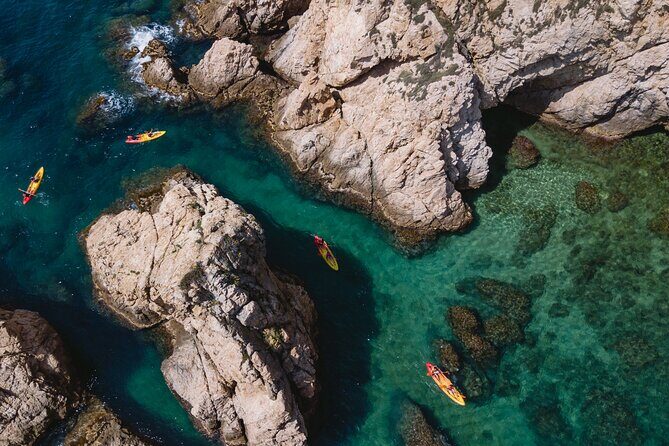 Tossa de Mar: Kayak & Snorkel Tour with Paella from Barcelona - What Makes This Tour Stand Out?