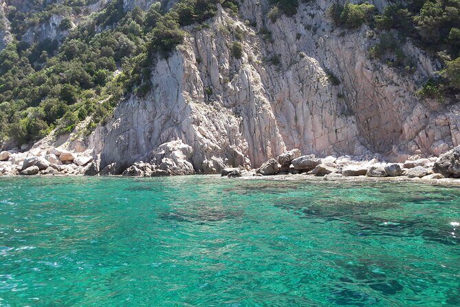 Tour in rubber dinghy and snorkeling in the Protected Marine Area of Tavolara - FAQs