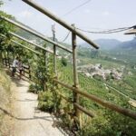 Tour in the Prosecco Hills Tour from Padua - Practical Details & Value