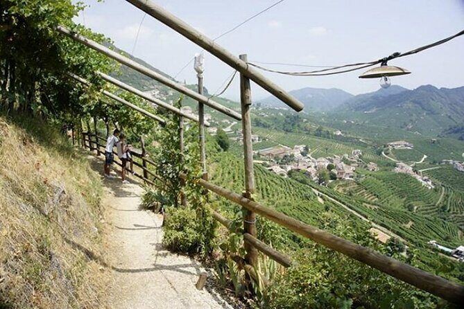 Tour in the Prosecco Hills Tour from Padua - Practical Details & Value