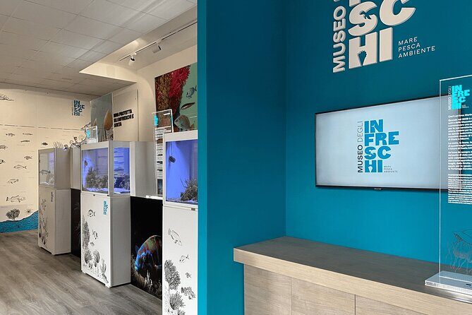 Tour "Masseta" by scooter from Marina di Camerota - The Itinerary Breakdown: What You Can Expect