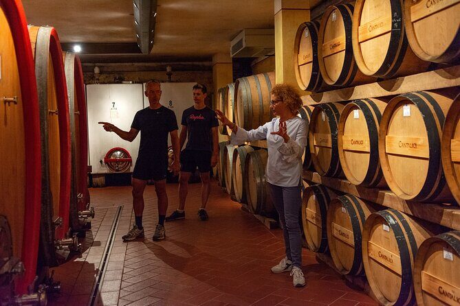 Tour of the cellar and tasting of 6 wines - The Practicalities: Booking and Costs