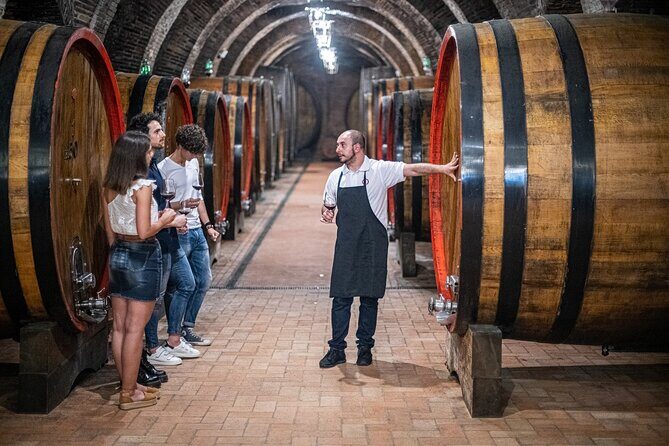 Tour of the historical cellars in Montepulciano - What’s Included and How the Tour Unfolds