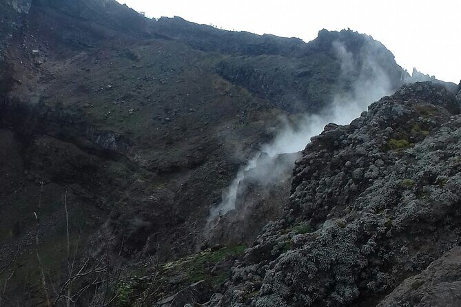 Tour Positano & Sorrento with a lunch stop - The Sum Up: Who Should Consider This Tour?