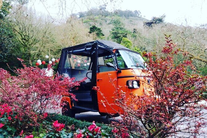 Tour Sintra Palaces & Mountain - Final Verdict