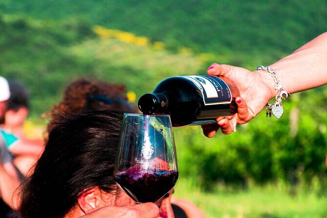 Tour through the vineyards and wine and olive oil tasting in Tuscany - The Guides and Atmosphere