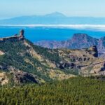 Tour to Arucas, Teror, Aloe Vera farm - Highlights - Final Thoughts: Is This Tour Right for You?