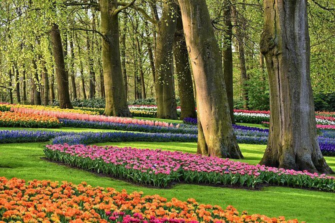 Tour to Giethoorn and Keukenhof Tulip Fields from Amsterdam - What Makes This Tour Stand Out?