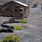 Tour to Timanfaya, La Geria and Laguna Verde for cruise passengers - Who Should Consider This Tour?