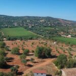 Tour & Wine tasting - Authentic Algarve Flavours by Quinta da Tôr - Practical Details and Tips
