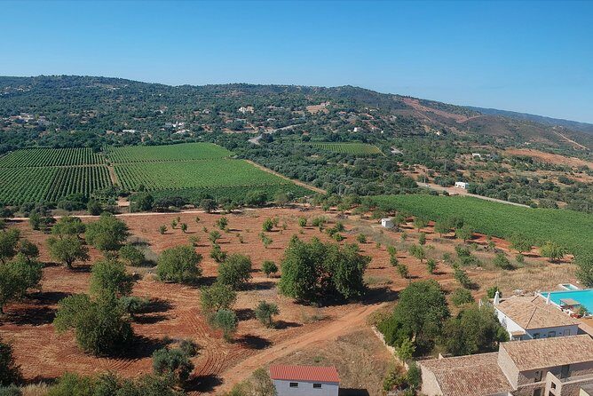 Tour & Wine tasting - Authentic Algarve Flavours by Quinta da Tôr - Practical Details and Tips