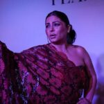 Traditional Flamenco Show - What to Expect During the Performance