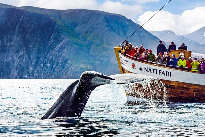 Traditional Oak Ship Whale Watching Tour From Husavik - The Realities: Pros and Cons