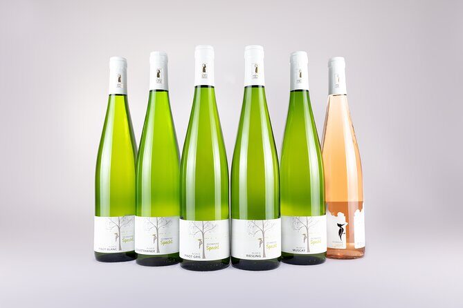 Traditional visit and tasting - The Tasting: A Highlight for Many