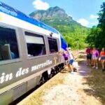 Train Experience Through The Alps (Full Day) - Deep Dive into the Itinerary