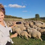 Transfagarasan Road Private Day Trip from Bucharest / The Best Road in the World - Who Will Enjoy This Tour Most?