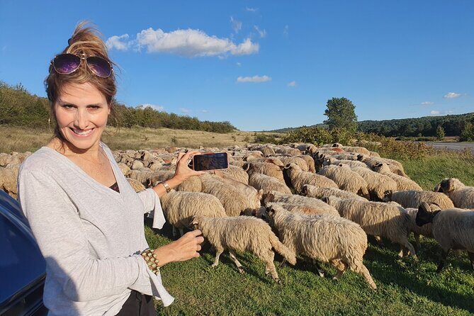 Transfagarasan Road Private Day Trip from Bucharest / The Best Road in the World - Who Will Enjoy This Tour Most?