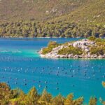 Transfer Dubrovnik to Split with Sightseeing in Ston Town - The Sum Up