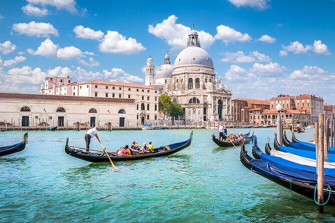 Transfer from Padova to Venice City Airport/Port or v.v. - What to Expect on the Day