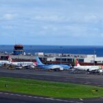 Transfer Privado e Confiável: Aeroporto  Funchal (ou vice-versa) - What You Can Expect During the Ride